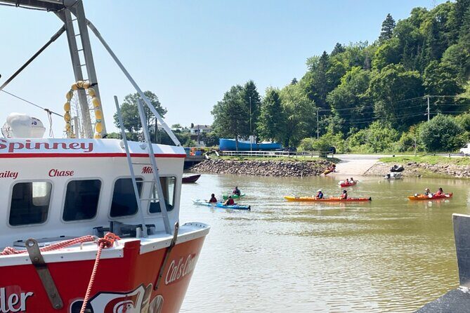 Kayak the Bay of Fundy Sea Caves - Good To Know
