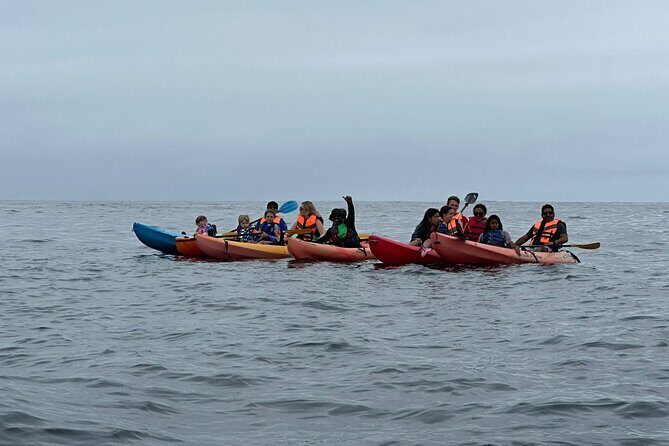 Kayak The Jacket and Flea market Private Tour - Good To Know