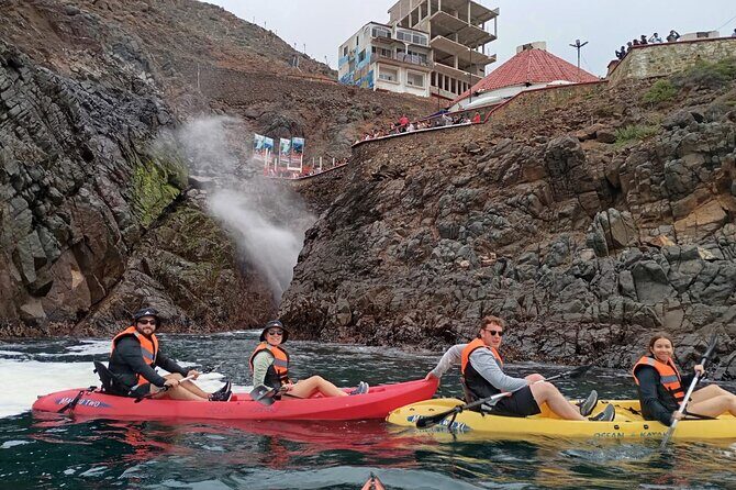 Kayak The Jacket and Flea market Private Tour - Practical Details and What You Need to Know