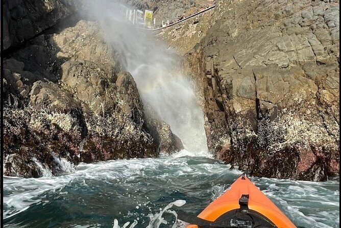 Kayak The Jacket and Flea market Private Tour - Who Will Love This Tour?