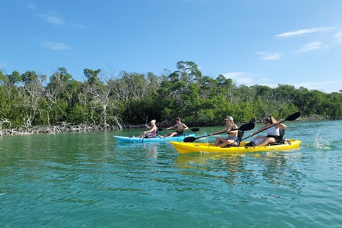 Kayak through Mangrove Forests in the Florida Keys - Kayak through Mangrove Forests in the Florida Keys: An In-Depth Review