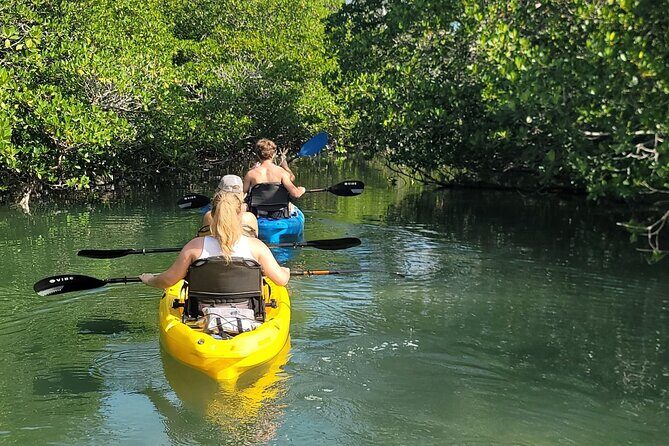 Kayak through Mangrove Forests in the Florida Keys - Price and Overall Value