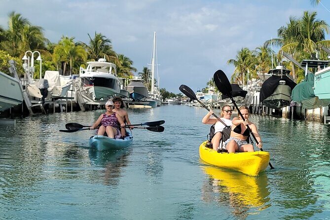 Kayak through Mangrove Forests in the Florida Keys - Who Should Book This Tour?