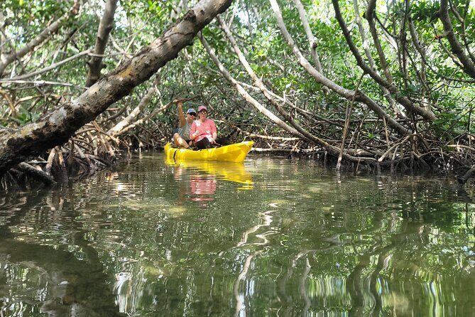 Kayak through Mangrove Forests in the Florida Keys - FAQ