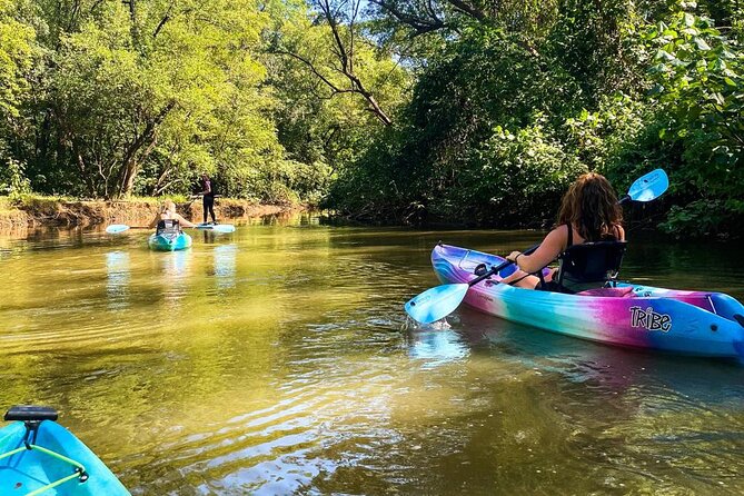 Kayak Through the Mangroves - Location: Playa Pelada