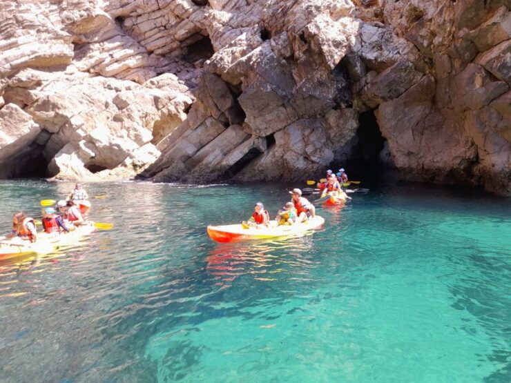 Kayak Tour - Pricing Information