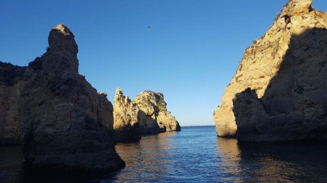 Kayak Tour - Activity Highlights