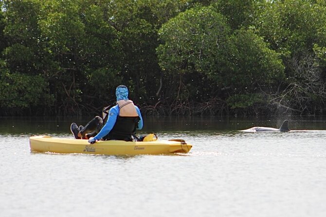 Kayak Tour Adventure Marco Island and Naples Florida - Tour Overview and Highlights