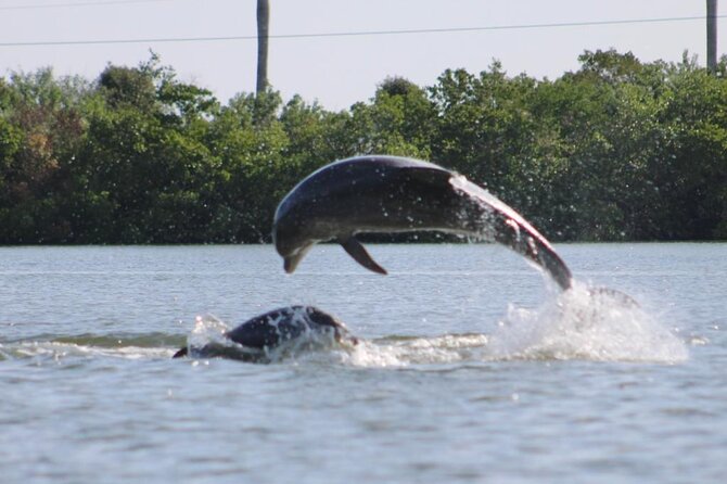 Kayak Tour Adventure Marco Island and Naples Florida - End Point and Cancellation Policy