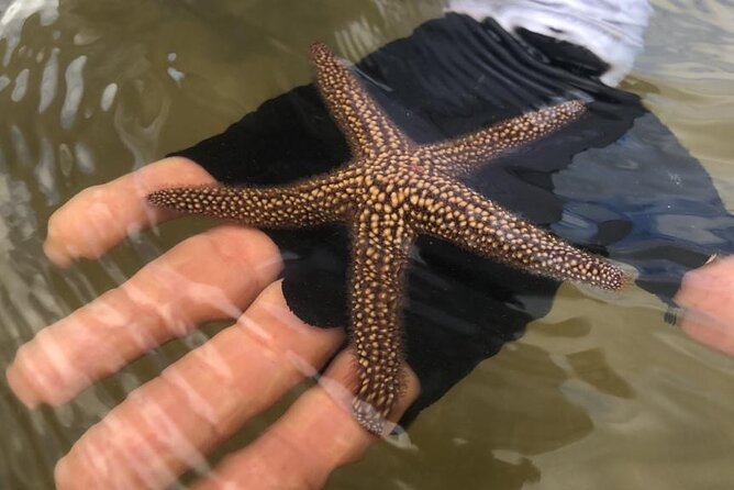 Kayak Tour Adventure Marco Island and Naples Florida - Traveler Photos and Reviews