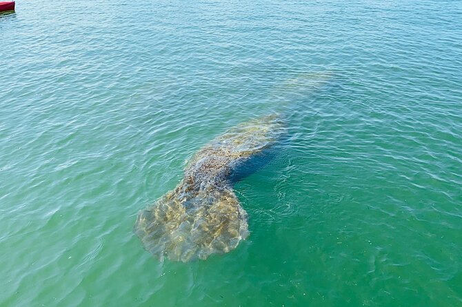 Kayak Tour Adventure Marco Island and Naples Florida - Common Questions