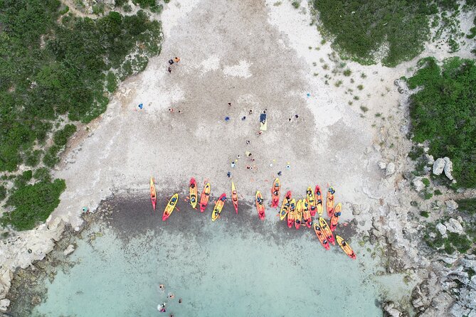 Kayak Tour and Snorkelling From Fornells - Meeting Point and Excursion Highlights