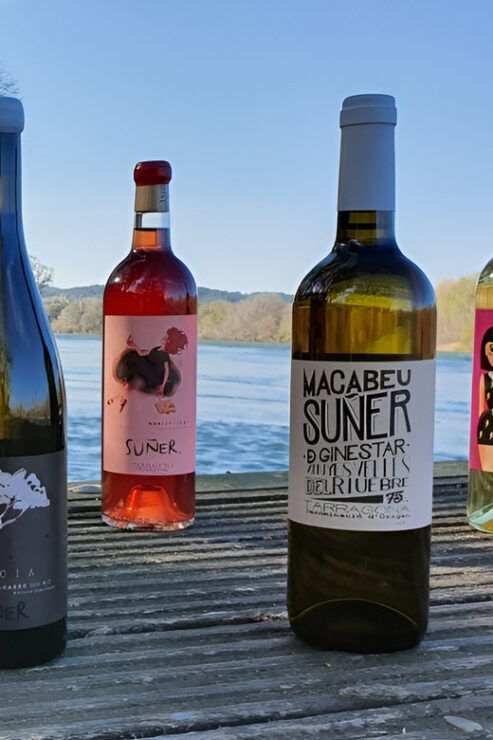 Kayak Tour and Wine Tasting at the Ebro River - Good To Know