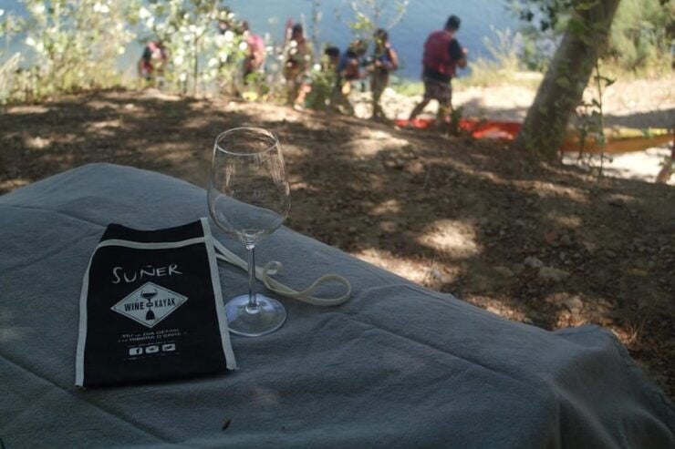 Kayak Tour and Wine Tasting at the Ebro River - Experience Highlights