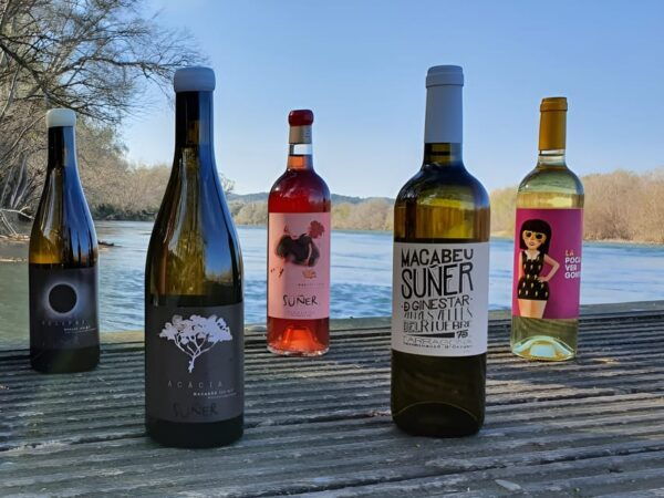 Kayak Tour and Wine Tasting at the Ebro River - Frequently Asked Questions