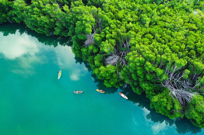 Kayak Tour at Sunset in Cancun - Accessibility and Recommendations