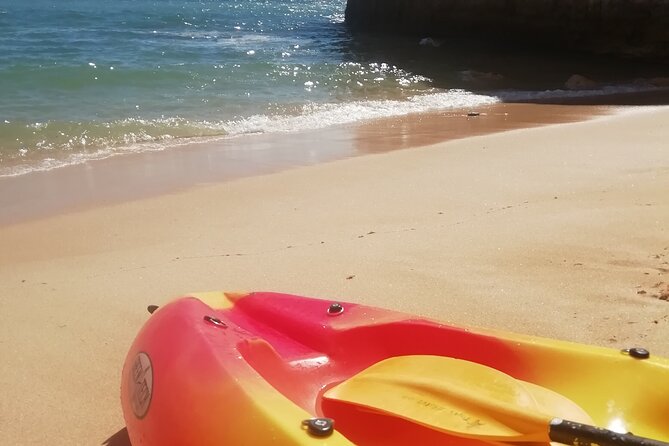 Kayak Tour From Praia De Benagil to Praia Da Marinha - Safety Precautions