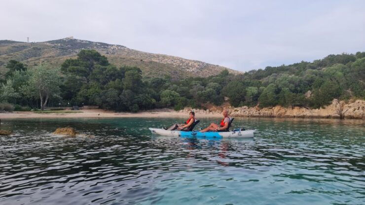 Kayak Tour in Cala Moresca - Aperitif and Dolphin Watching - Tour Details