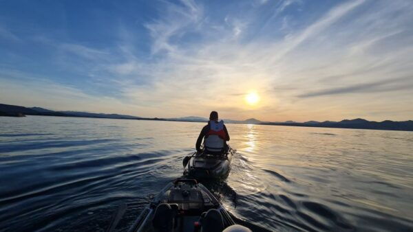 Kayak Tour in Cala Moresca - Aperitif and Dolphin Watching - The Sum Up