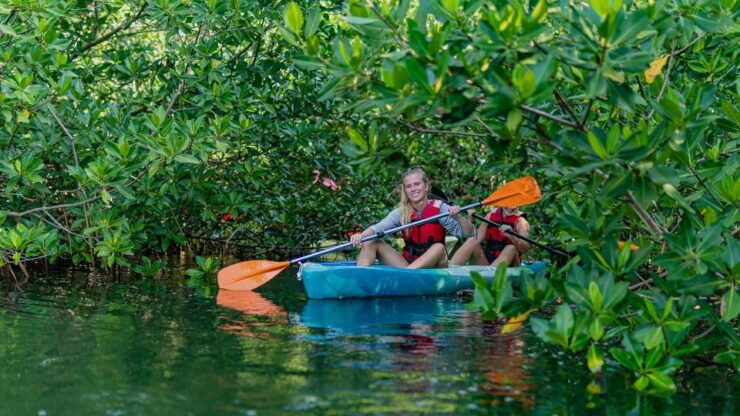 Kayak Tour in Cancun With Photos Included - Tour Details
