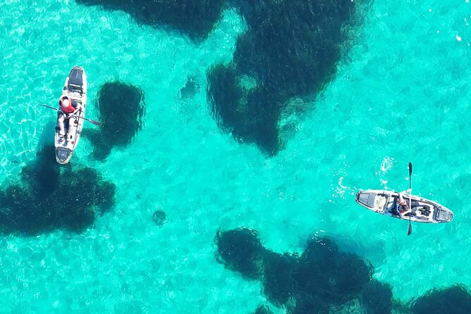 Kayak Tour in Golfo Aranci With Aperitif and Dolphin Watching - Pricing and Booking Information