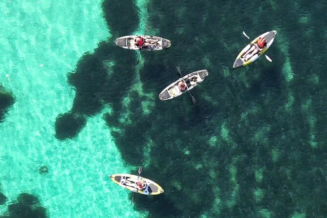 Kayak Tour in Golfo Aranci With Aperitif and Dolphin Watching - Meeting Point and Duration