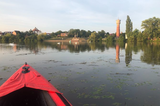 Kayak-Tour in Ladenburg on River Neckar - Good To Know