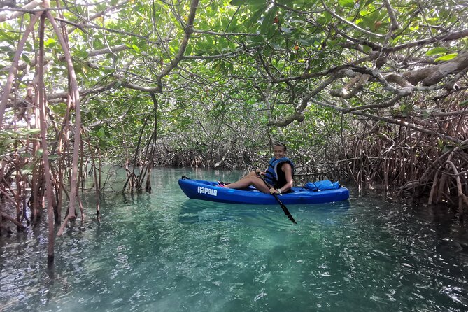 Kayak Tour in Laguna Nichupte Cancun - Beautiful Scenery and Abundant Wildlife