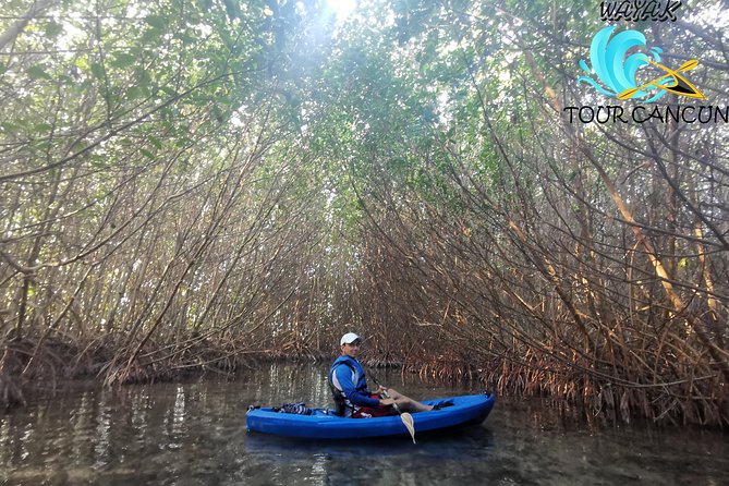Kayak Tour in Laguna Nichupte Cancun - Recommended for an Off-the-Beaten-Path Experience
