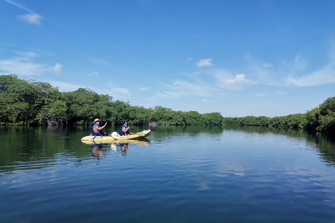 Kayak Tour in Laguna Nichupte Cancun - Convenient and Time-Efficient