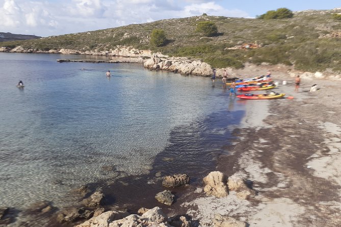 Kayak Tour in the Marine Reserve ! - Inclusions and Meeting Details