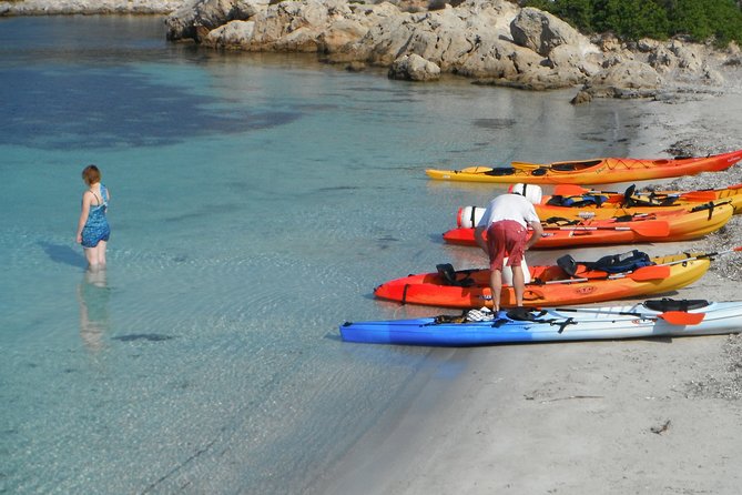 Kayak Tour in the Marine Reserve ! - Additional Information and Policies