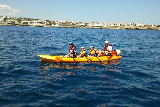 Kayak Tour in the Marine Reserve ! - Pricing, Guarantee, and Contact Information