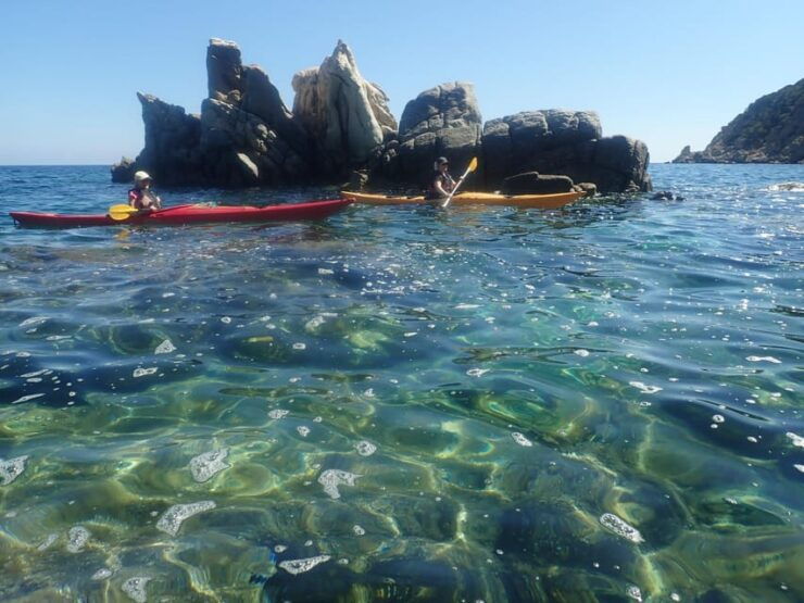 Kayak Tour of Capo Figari, Golfo Aranci (3 Hours) - Group Size and Languages