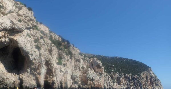 Kayak Tour of Capo Figari, Golfo Aranci (3 Hours) - Meeting Point and Recommendations