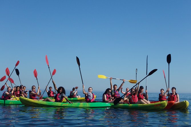 Kayak Tour of Lisbon - Additional Information