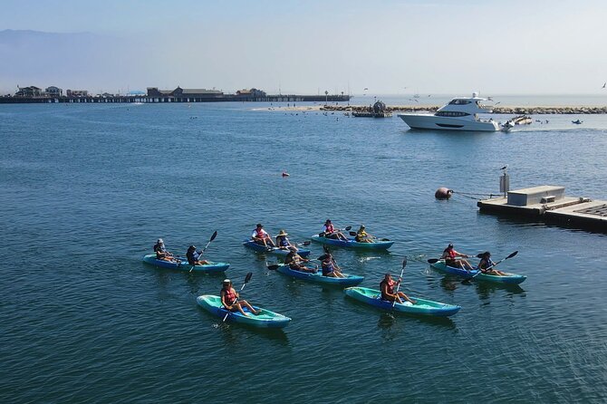 Kayak Tour of Santa Barbara With Experienced Guide - Pricing and Booking Information