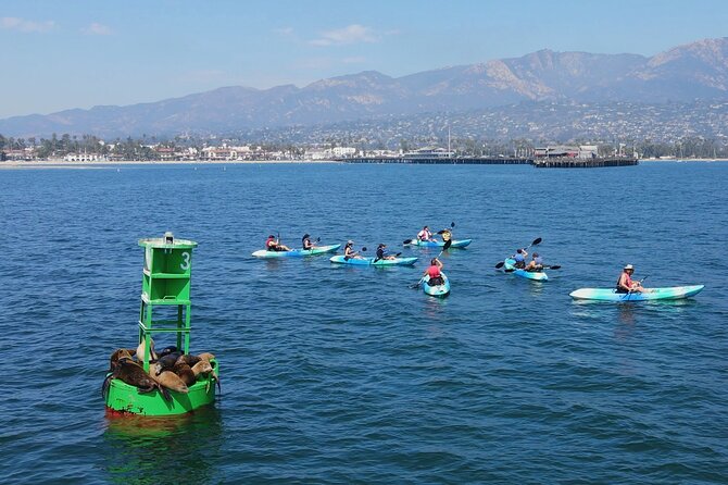 Kayak Tour of Santa Barbara With Experienced Guide - Cancellation Policy and Weather Considerations