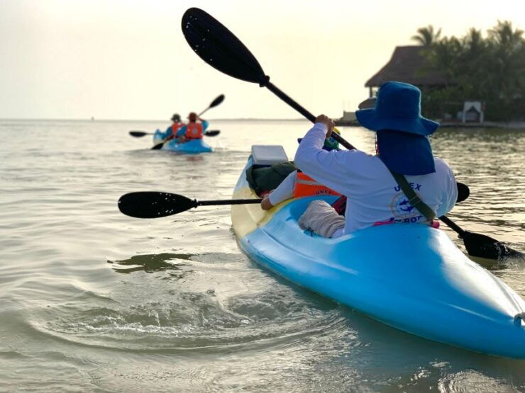Kayak Tour Through Holbox Mangroves - Exciting Activity Highlights