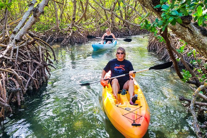 Kayak Tour Through Mangrove Tunnels - Inclusions