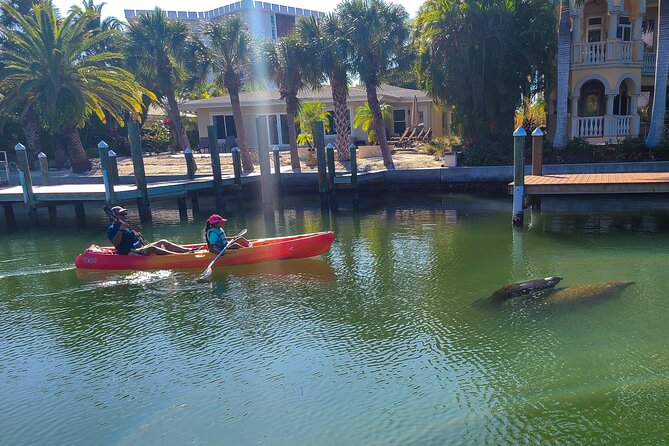 Kayak Tour Through Mangrove Tunnels - Cancellation Policy