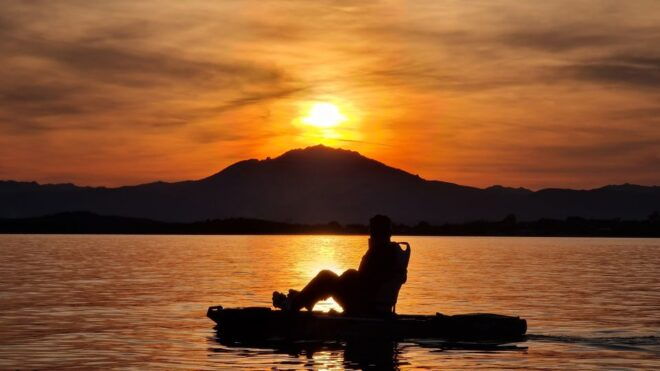 Kayak Tour With Dolphins - Aperitif - Transfer Included - Inclusions