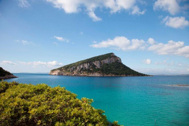 Kayak Tour With Dolphins - Aperitif - Transfer Included - Frequently Asked Questions
