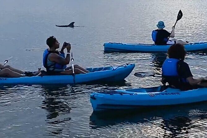 Kayak Tours and Rentals. Dolphins, Manatees, and Bioluminescence! - Authentic Experiences Based on Real Reviews