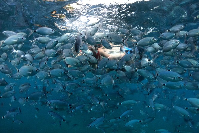 Kayak Tours Pula | Sea Cave NEOPREN INCLUDED - Additional Tour Information