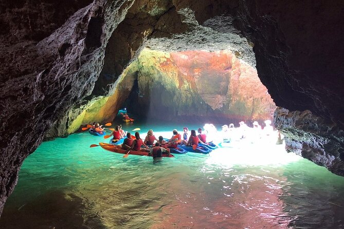 Kayak Tours With Amazing Caves, Sea Life and Marine Biologist . - Marine Biologist Guided Tours