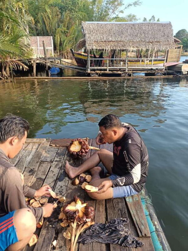 Kayak trip around Green cathedral, Swim, Reflection sunset - FAQ