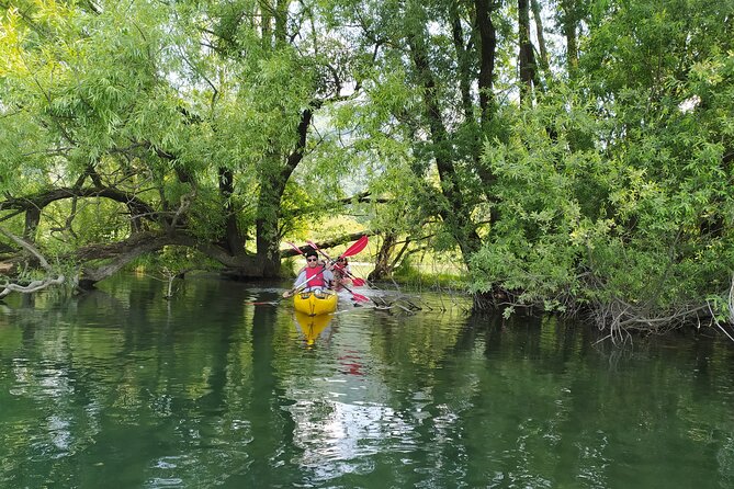 Kayak Trip on Adda River North Park - Traveler Requirements