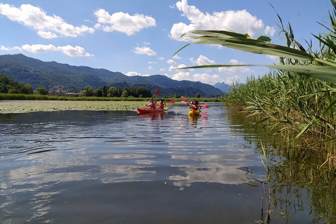 Kayak Trip on Adda River North Park - Cancellation Policy Details