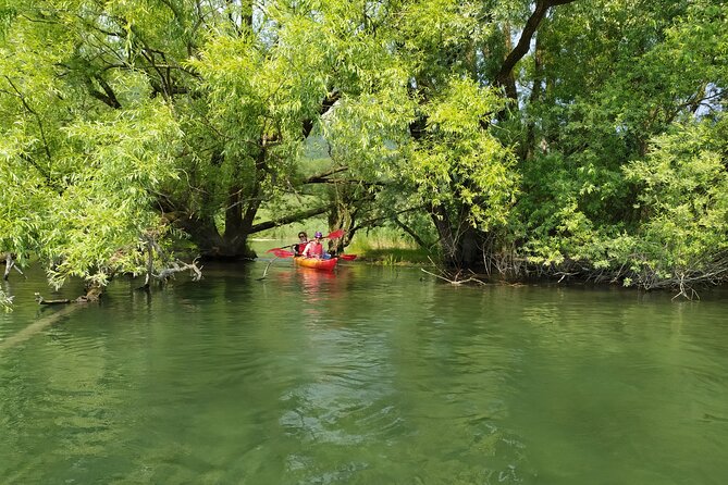 Kayak Trip on Adda River North Park - Frequently Asked Questions